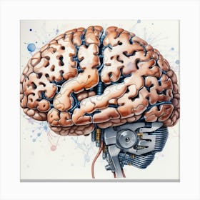 Brain Illustration 2 Canvas Print