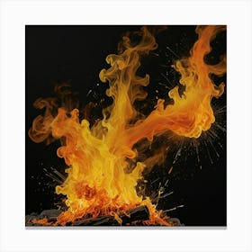 Fire On Black Background 1 Canvas Print