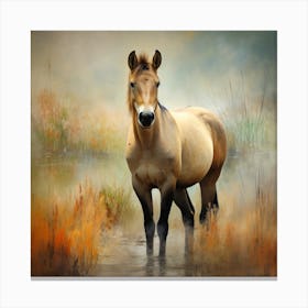 Horse In Water Canvas Print