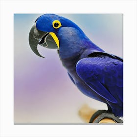 Blue Parrot 3 Canvas Print