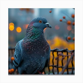 Pigeon In The Rain Canvas Print