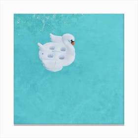 Swan In The Pool Canvas Print