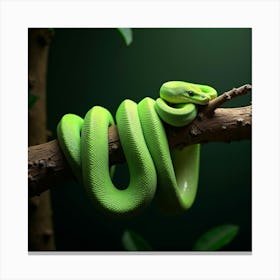 A Stunning Emerald Tree Boa Coiled On A Branch 1 Canvas Print