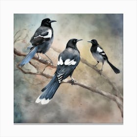 Magpies 8 Canvas Print