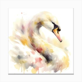 Watercolor Swan 1 Canvas Print