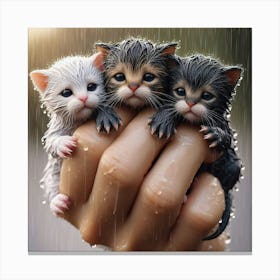 Kittens In Rain 2 Canvas Print