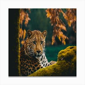 Leopard In The Forest 3 Canvas Print