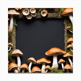 Mushroom Frame On Moss Canvas Print