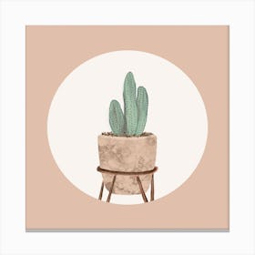 Delicate Cactus 2 Square Canvas Print