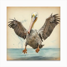 Pelican 17 Canvas Print