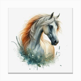 Horse Head.1 2 Canvas Print