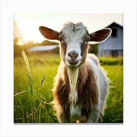 Grass Green Goat Farm Mammal Milk Farming Animal Meadow Head Canino No People Pasture S (7) Canvas Print