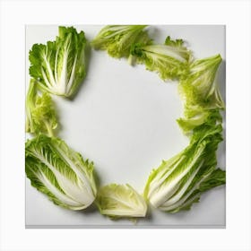 Lettuce Leaves In A Circle Canvas Print