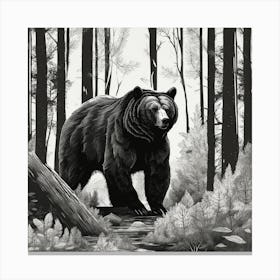 Bear In The Woods Canvas Print