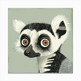 Ring Tailed Lemur Canvas Print