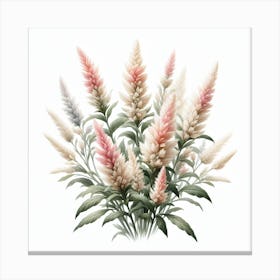 Ornamental grass 1 Canvas Print