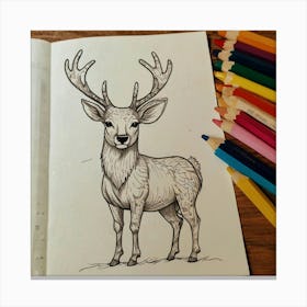 Deer Coloring Page 6 Canvas Print