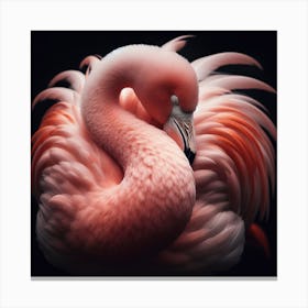 A flamingo Canvas Print