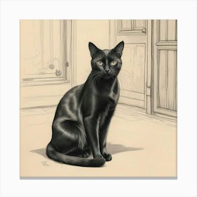 Black Cat 2 Canvas Print