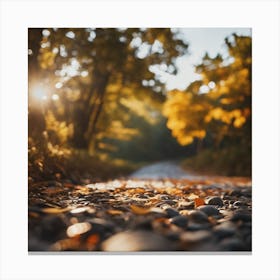 Autumn Road Canvas Print