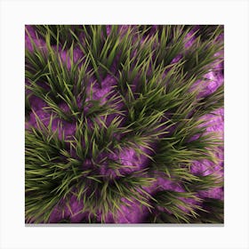 Grass On Purple Background Canvas Print