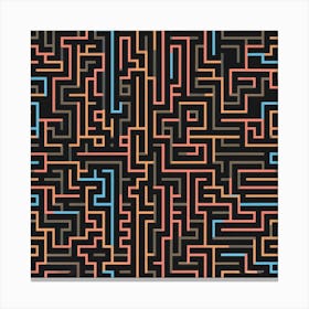 Maze 1 Canvas Print