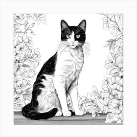 Black and white cat 2 Canvas Print