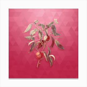 Vintage Peach Botanical in Gold on Viva Magenta n.0544 Canvas Print