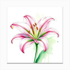 Pink Lily 10 Canvas Print