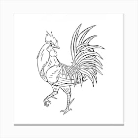 Rooster Canvas Print