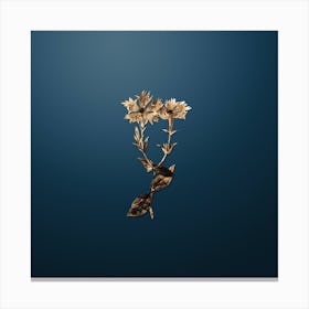 Gold Botanical Bunge's Lychnis Flower on Dusk Blue n.1603 Canvas Print