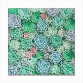 Succulent Wall Art Canvas Print