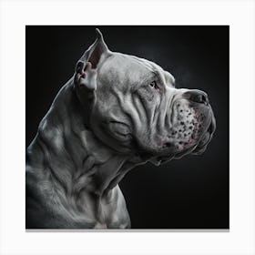 Portrait Of A Dog 19 Canvas Print