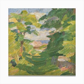 View Of A Forest Canvas Print