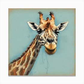 Giraffe 119 Canvas Print