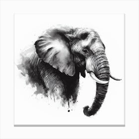Elephant Canvas Print 1 Canvas Print