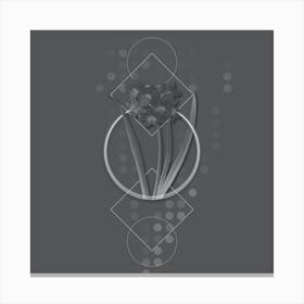 Vintage Narcissus Easter Flower Botanical with Line Motif and Dot Pattern in Ghost Gray n.0255 Canvas Print