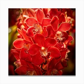 Firefly Vibrant Explosion Of Red Orchids In Full Bloom 86150 Canvas Print