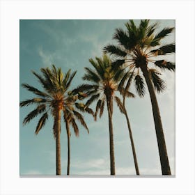 Default Palm Trees In Art Print 2 Canvas Print