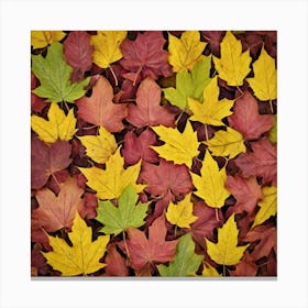 Autumn Leaves 34 Canvas Print
