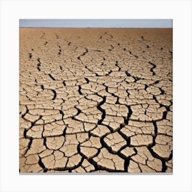 Arid Landscape 1 Canvas Print