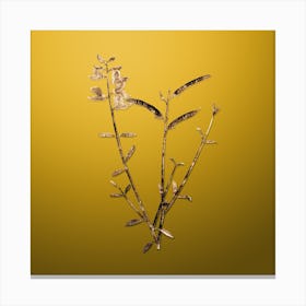 Gold Botanical Spanish Broom on Mango Yellow n.4311 Canvas Print