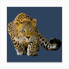 Leopard Stalking Square Canvas Print