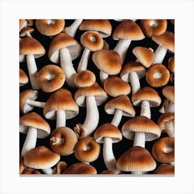 Mushrooms On Black Background 2 Canvas Print