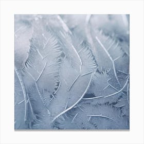 Frosted Feathers Canvas Print