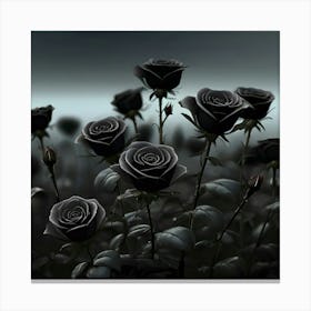 Black Roses 1 Canvas Print