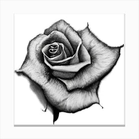 Rose Tattoo Canvas Print