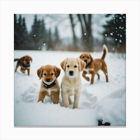 Dogs in the snow in front of the woods Canvas Print