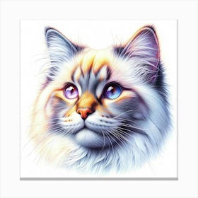 Creative Feline Cat Artwork 90 Canvas Print