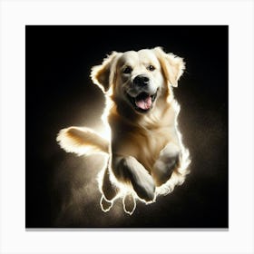 Golden Retriever In Flight Canvas Print